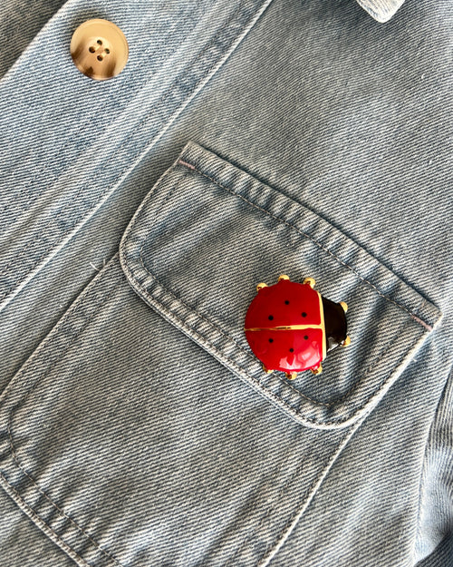Broche Coccinelle
